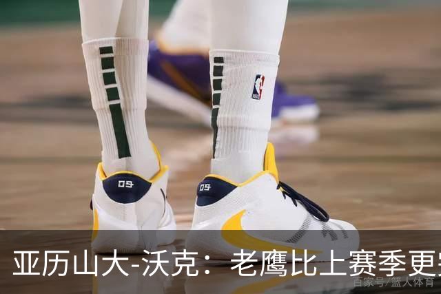 亚历山大-沃克：老鹰比上赛季更完整，信任比什么都重要