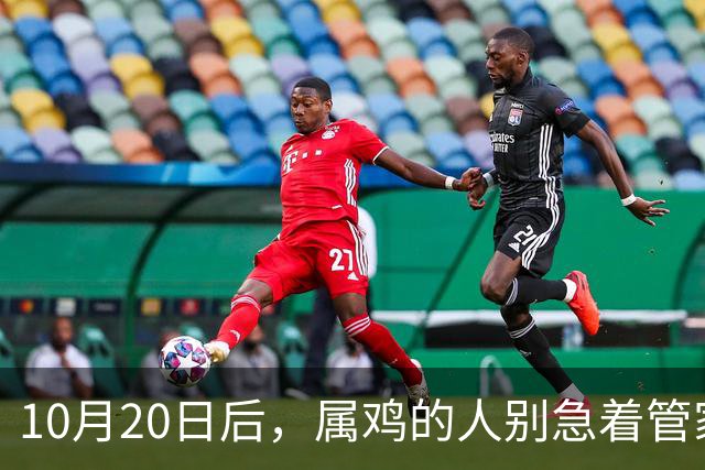 10月20日后，属鸡的人别急着管家里的事
